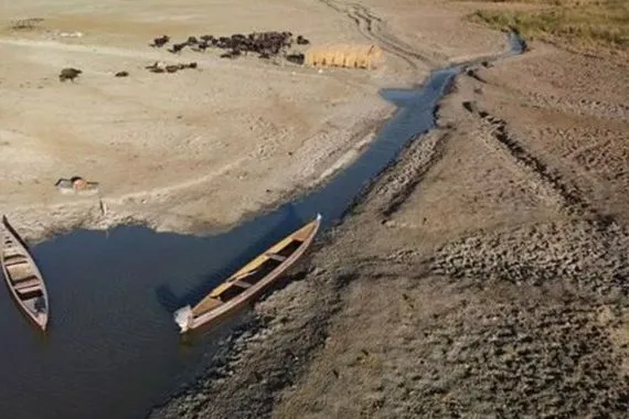 نائب يطلق تحذيراً عاجلاً بشأن أزمة المياه وتأثيرها الخطير على الأمن الغذائي