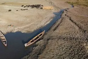 نائب يطلق تحذيراً عاجلاً بشأن أزمة المياه وتأثيرها الخطير على الأمن الغذائي