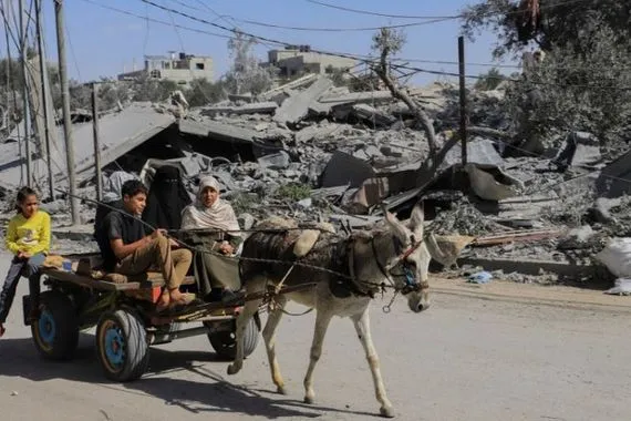 الإعلام العبري يكشف عن عملية نهب الحمير من غزة بمشاركة جمعيات إسرائيلية قناة العالم الاخبارية