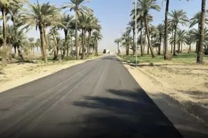 مجلس الوزراء يوافق على تسهيلات جديدة لتمليك الأراضي الزراعية للمواطنين وكالة بغداد اليوم الاخبارية