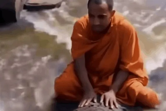 ما حقيقة التمساح التاكسي