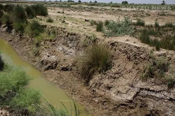 3 كيلومترات من أجل قطرة ماء العطش يجتاح جنوب العراق صور شفق نيوز