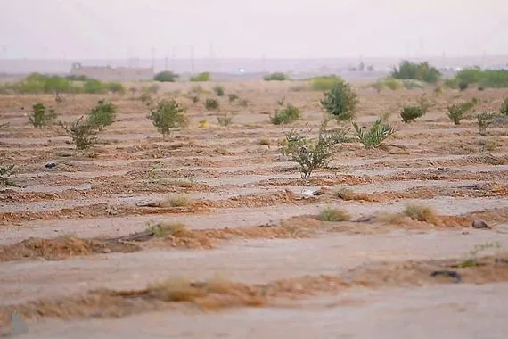 الأنبار إعادة تأهيل واحة حديثة بدعم من البرنامج الإنمائي للأمم المتحدة وكالة الانباء العراقية واع