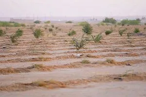 الأنبار إعادة تأهيل واحة حديثة بدعم من البرنامج الإنمائي للأمم المتحدة وكالة الانباء العراقية واع