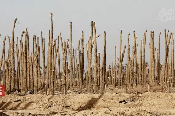مستشار السوداني يقرع ناقوس الخطر بشأن العجز المائي والتصحر في العراق شفق نيوز