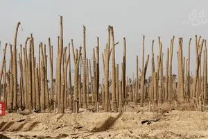مستشار السوداني يقرع ناقوس الخطر بشأن العجز المائي والتصحر في العراق شفق نيوز