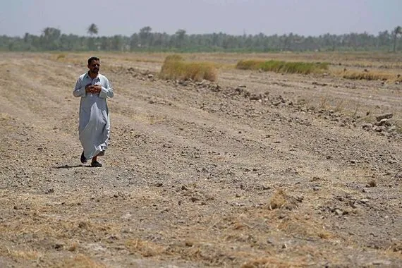 71 من الأراضي الزراعية بالعراق مهددة بالجفاف الكامل