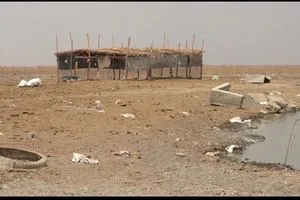 البصرة الجفاف يهدد حياة 5 ملايين نسمة في المحافظة