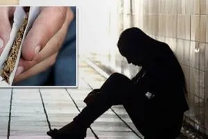 الجزائر مختصة اجتماعية تكشف عن وجود 3 ملايين مدمن مخدرات شفق نيوز