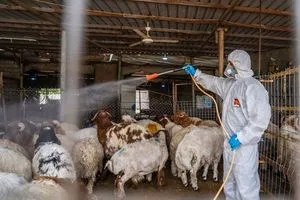 الصحة تفرض الحجر على 37 قرية في دهوك بسبب الحمى النزفية