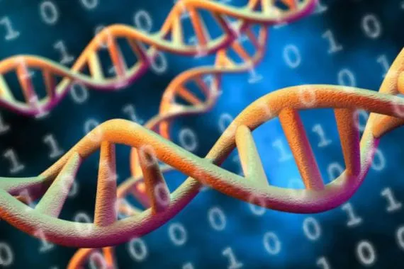 اكتشاف بروتين جديد يمنح الأمل للذاكرة وكالة الانباء العراقية واع