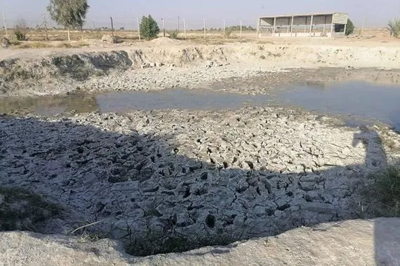 لجنة الزراعة تحذر من أضرار بيئية خطيرة على الأراضي الزراعية في ديالى