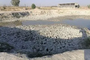 لجنة الزراعة تحذر من أضرار بيئية خطيرة على الأراضي الزراعية في ديالى