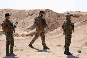 يتضمن تحصينات عسكرية الحشد الشعبي ينفذ مشروعاً ميدانياً في هور سامراء