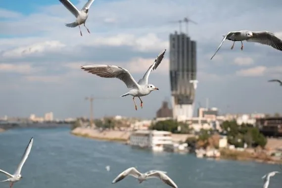 انخفاض درجات الحرارة العراق يستعد لأجواء معتدلة