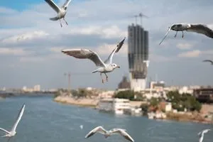 انخفاض درجات الحرارة العراق يستعد لأجواء معتدلة