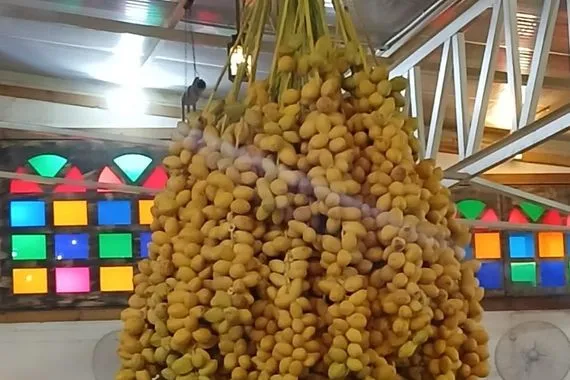 إقامة المهرجان السنوي الثامن للتمور في صلاح الدين وكالة الانباء العراقية واع
