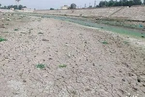 نائب تصاعد نزوح الأهالي في ذي قار بسبب الجفاف