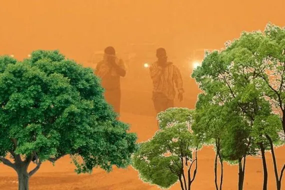 الأحزمة الخضراء في خطر الزراعة النيابية تحذر من التجريف المتعمد
