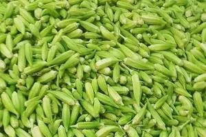 العراق الثامن عالميا بإنتاج البامية