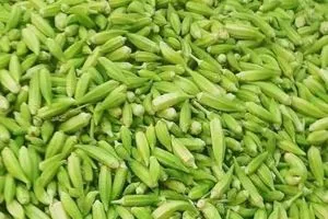 العراق الثامن عالميا بإنتاج البامية