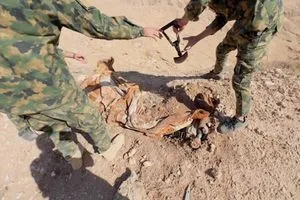 الحشد الشعبي يواصل تطهير جبال مكحول ويعثر على مخلفات هاون