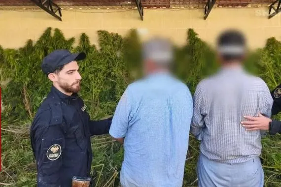 بمشاركة العراق عملية دوما السورية تفتح الباب لتحالف رباعي ضد تجارة المخدرات صور شفق نيوز