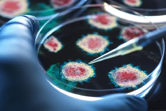 نوع شائع من التوابل قد يحارب العدوى الفيروسية بفعالية كبيرة