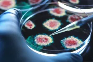 نوع شائع من التوابل قد يحارب العدوى الفيروسية بفعالية كبيرة