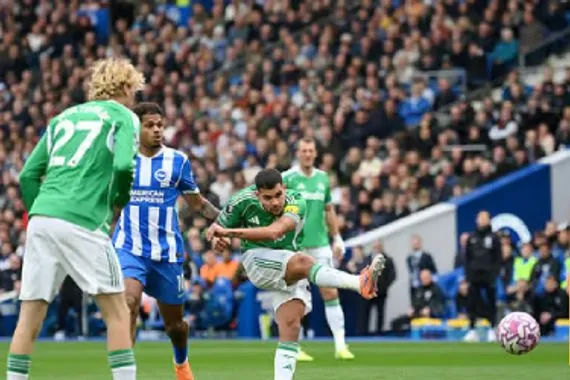 الشوط الأول تقييم لاعبي نيوكاسل يونايتد ضد برايتون