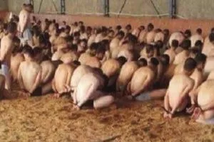 الأمم المتحدة ترصد انتهاكات منهجية لحقوق الإنسان في تركيا