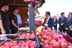 اربيل تحتضن مهرجان پيرمام للمنتجات الخريفية صور شفق نيوز