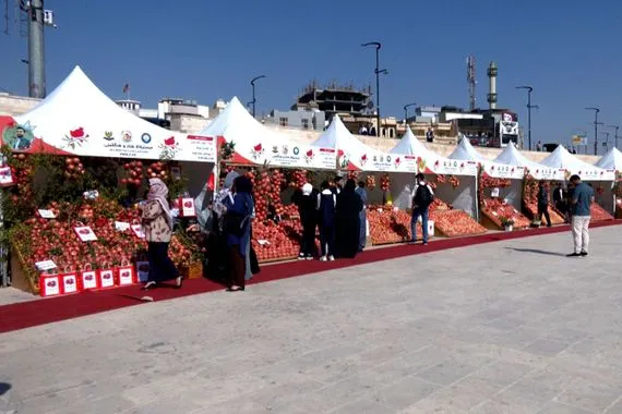 دهوك تحتضن المهرجان الثالث للرمان والعسل وكالة الانباء العراقية واع