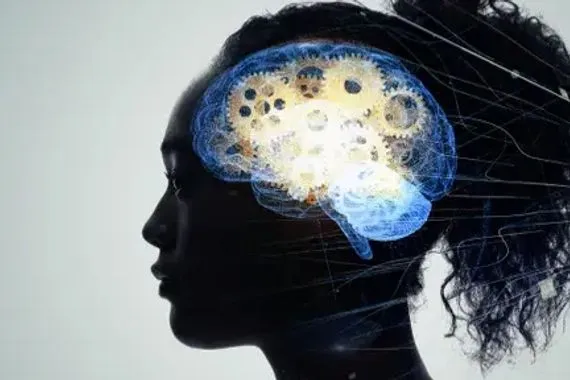 علماء يابانيون يكتشفون سر الذاكرة الطويلة شفق نيوز