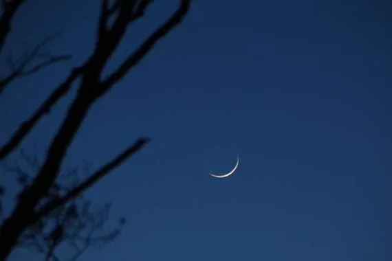 مكتب السيد السيستاني يوم الجمعة المقبل هو غرة شهر جمادى الأولى وكالة بغداد اليوم الاخبارية