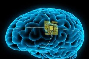 الدماغ البشري يقود ثورة الحوسبة الحيوية