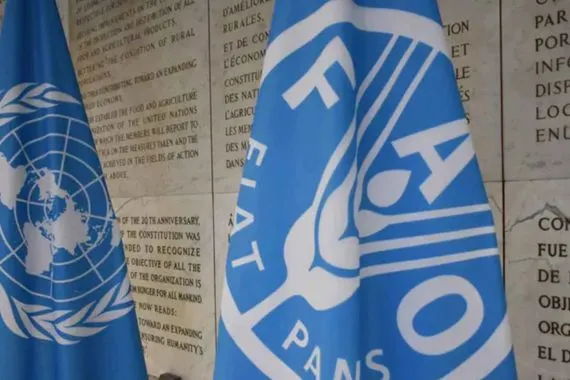 الأمم المتحدة تطلق منتدى جديداً لمعالجة أزمة ديون الاقتصادات النامية