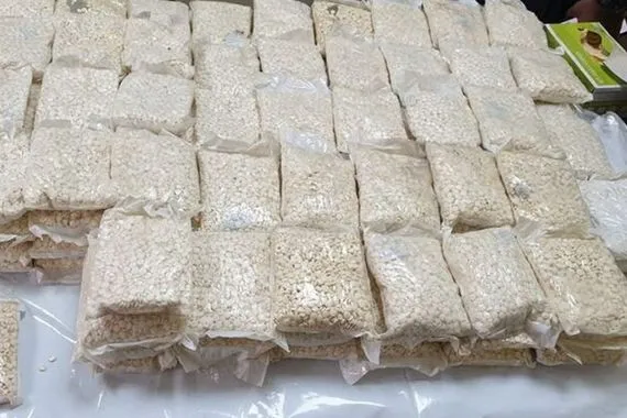 الصحة تتلف 100 كم من المخدرات في البصرة