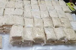 الصحة تتلف 100 كم من المخدرات في البصرة