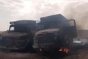 الموسوي يطالب بالكشف الفوري عن نتائج التحقيق في جريمة غرب النخيب