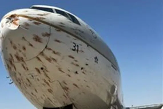 طائرة سعودية تتسبب بـ مجزرة طيور اصطدام مباشر بسرب مهاجر يلغي رحلة عودة من الجزائر صور