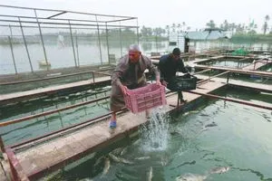 الزراعة منع تجديد إجازات البحيرات الطينية يدخل حيز التنفيذ مطلع العام المقبل