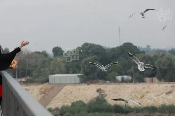 أين الأمطار في العراق تفسير رسمي بـ5 أسباب شفق نيوز