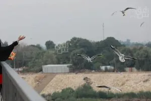 أين الأمطار في العراق تفسير رسمي بـ5 أسباب شفق نيوز