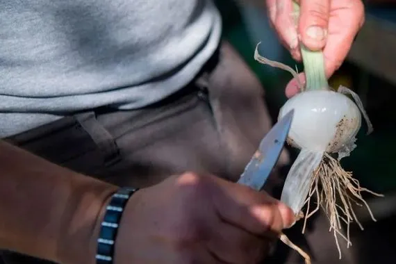 لن ترمِ قشور البصل بعد اليوم تعرف على فوائدها الخفية