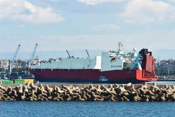 عجول برازيلية حية في طريقها الى العراق