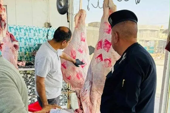 بيئة بابل تصادر 90 كغم من اللحوم غير المختومة