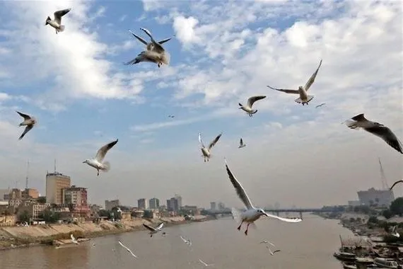 طقس العراق صحو وانخفاض في درجات الحرارة خلال الأيام المقبلة