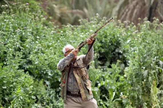 الداخلية تضع ضوابط منح سمات الدخول لهواة الصيد داخل العراق وكالة بغداد اليوم الاخبارية