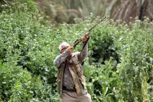 الداخلية تضع ضوابط منح سمات الدخول لهواة الصيد داخل العراق وكالة بغداد اليوم الاخبارية